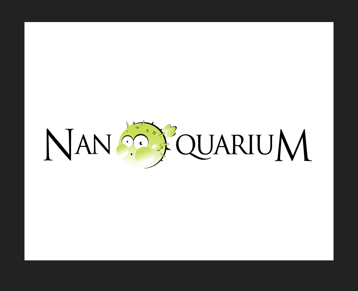 nanoquarium